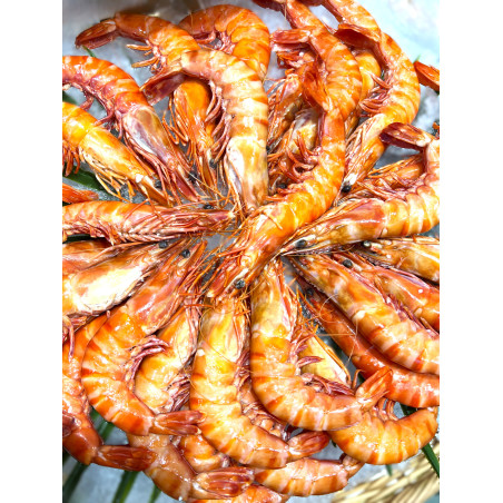 GROSSES GAMBAS SAUVAGES