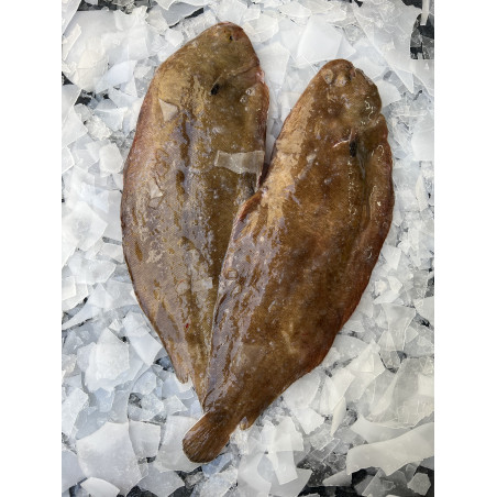 SOLE PORTION