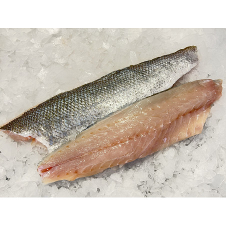 FILETS DE BAR