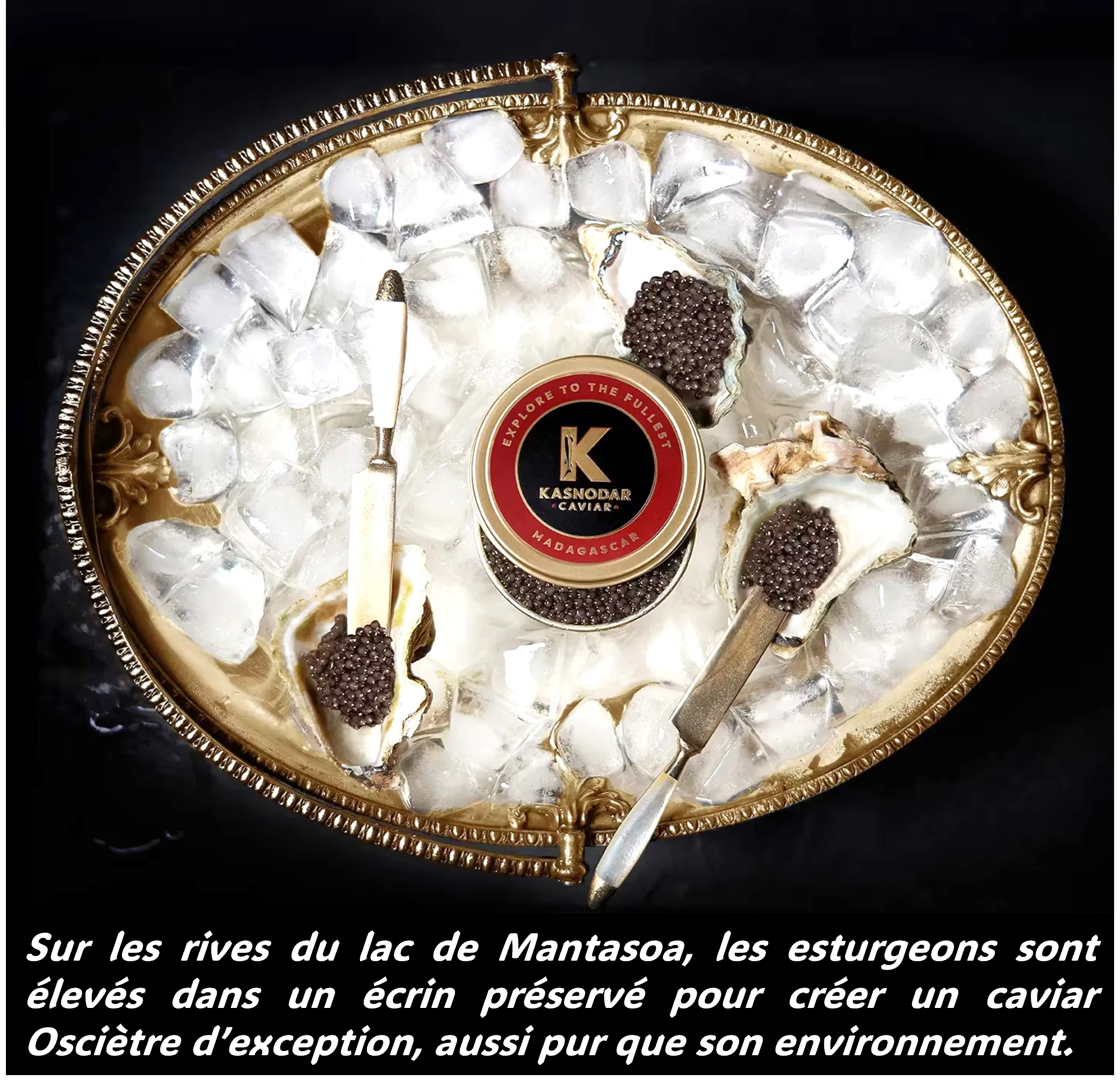 CAVIAR KASNODAR