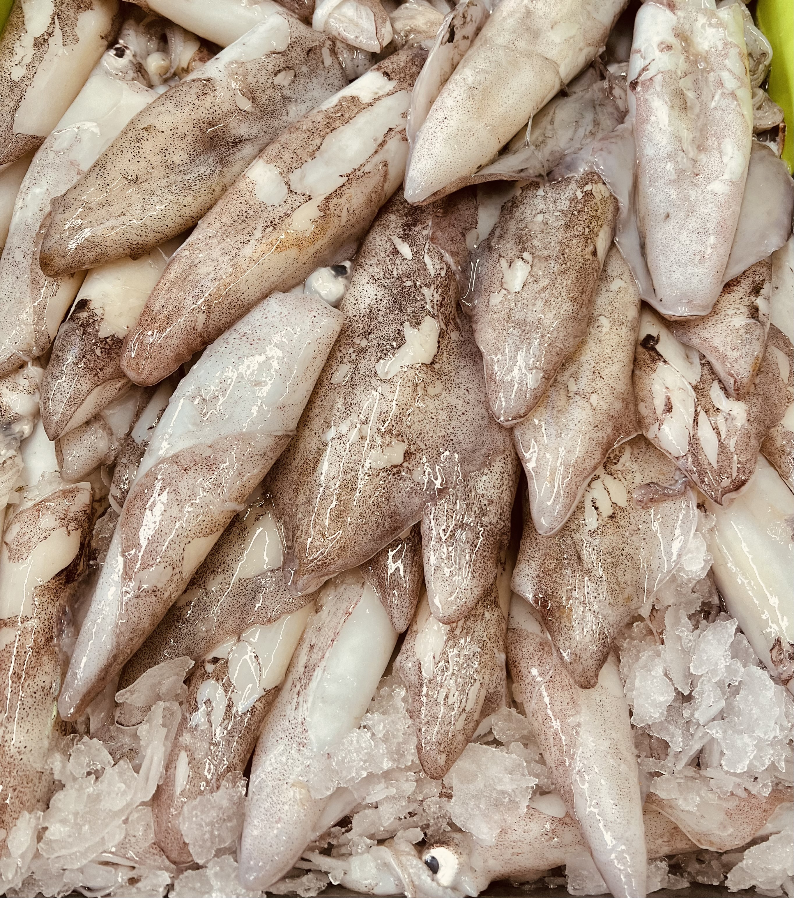 14.€90 le kg CALAMARS OU ENCORNETS