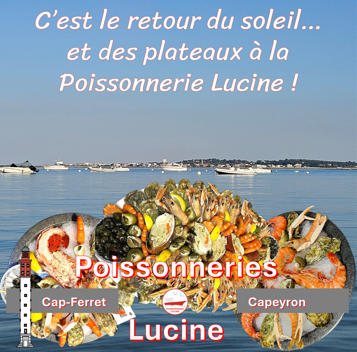Formules plateaux
