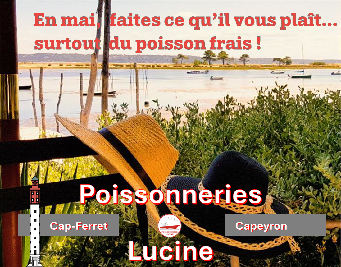 Poissonneries Lucine