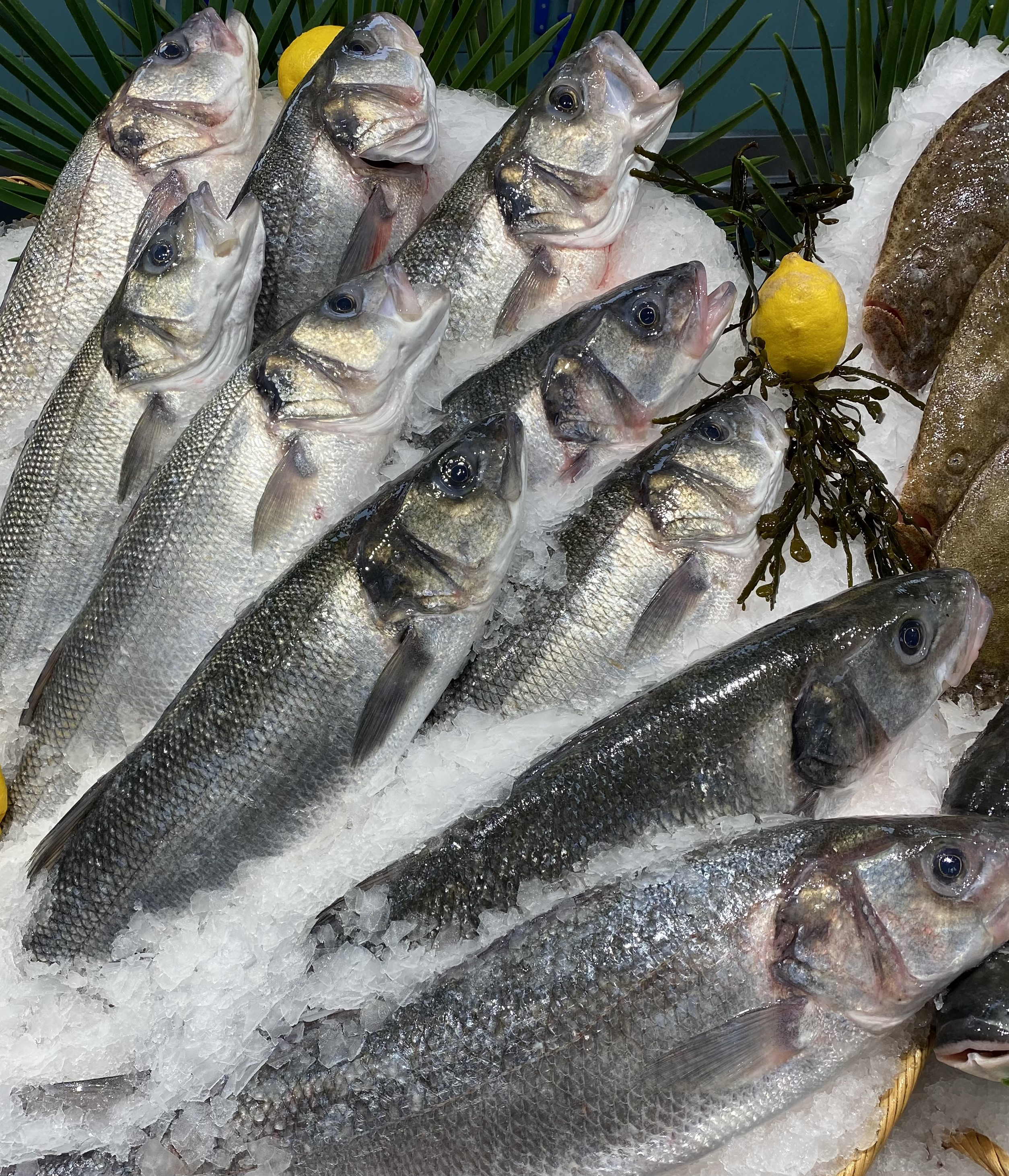 BARS SAUVAGES 20.80 € /KG